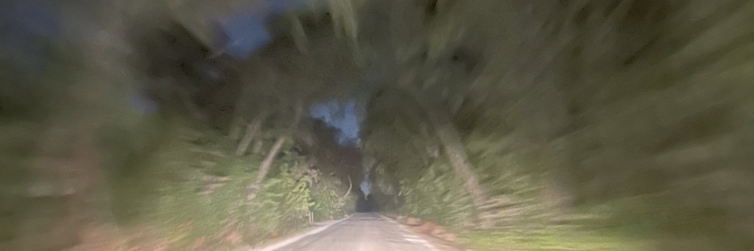 Real4nWhip's profile banner image