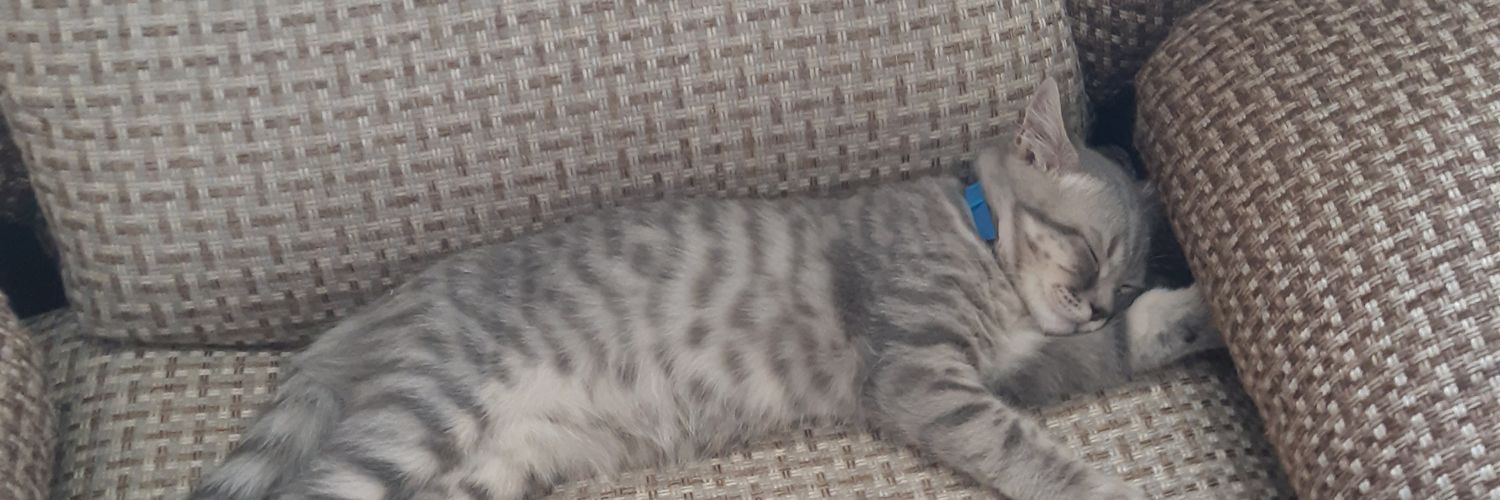 Fuck_Rocker's profile banner image