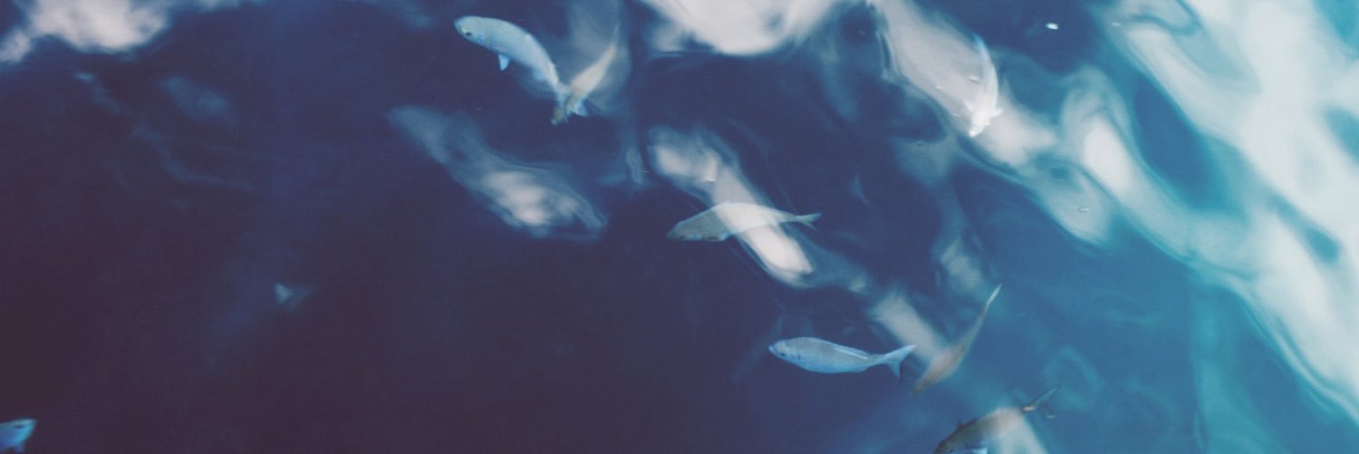 Puer_Solis's profile banner image