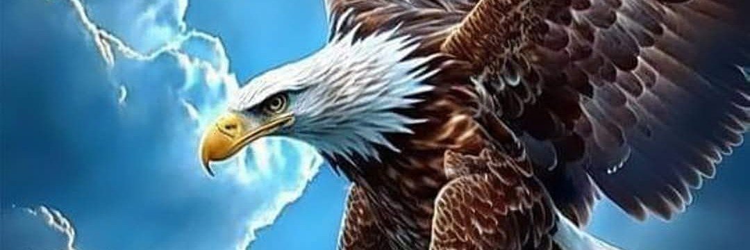 Osqui2222's profile banner image