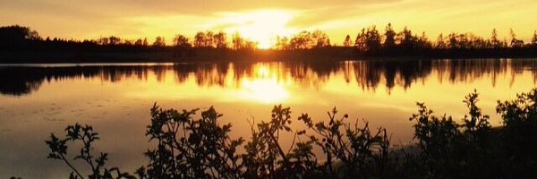 glenmac66 Profile Banner