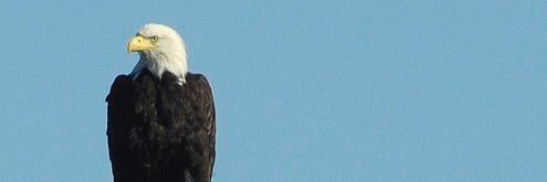 jajomoal's profile banner image