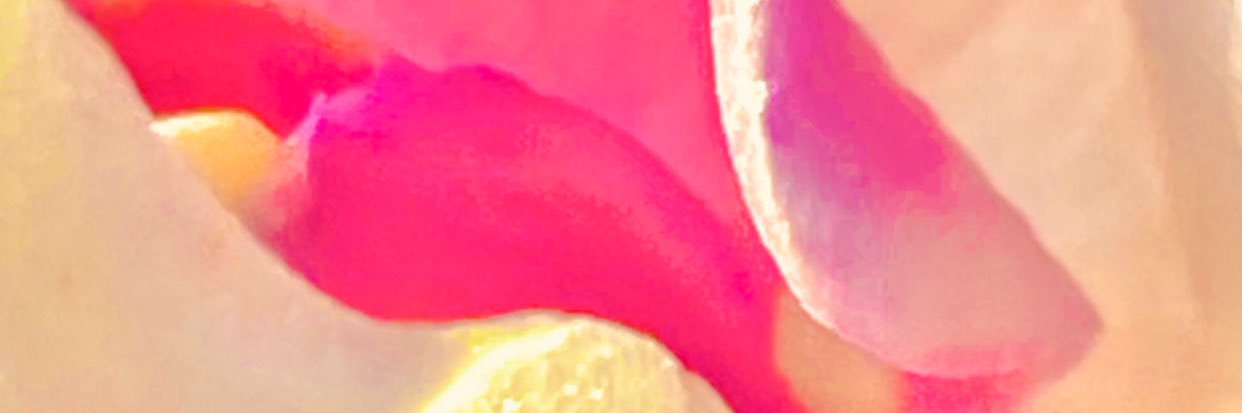 OnellaJapy's profile banner image