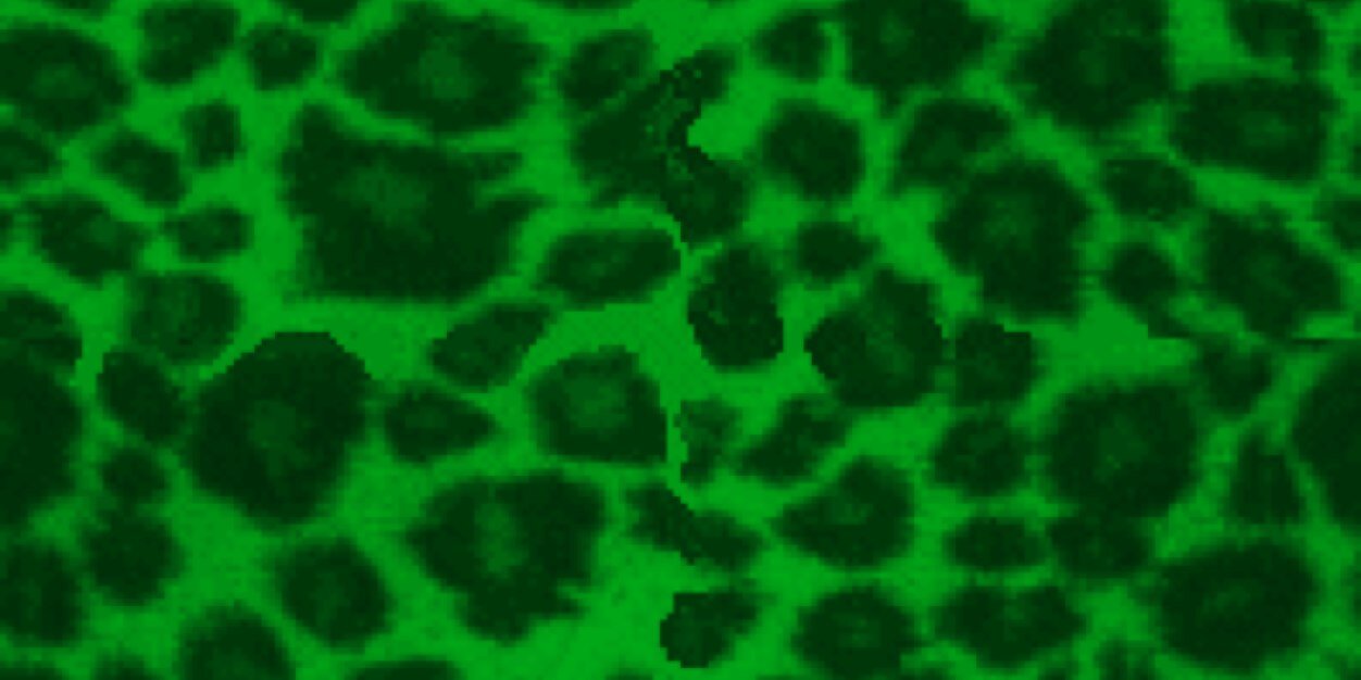 🐾🤪🏴󠁧󠁢󠁷󠁬󠁳󠁿 banner