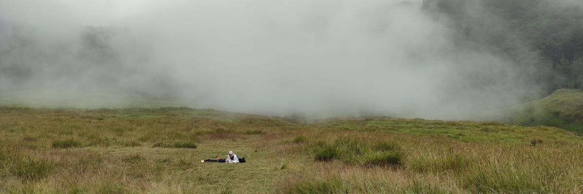plscallmf's profile banner image
