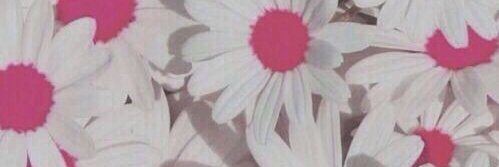 aylen2000quiro2's profile banner image