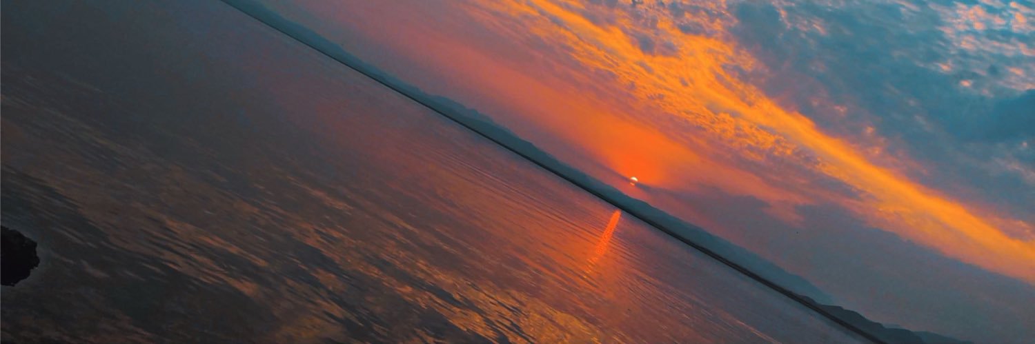 yarsunflower's profile banner image