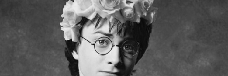 MeganAEvans's profile banner image
