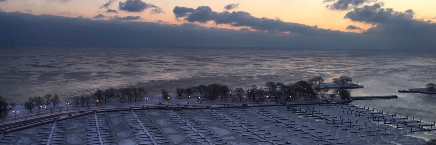 thischicagowife's profile banner image