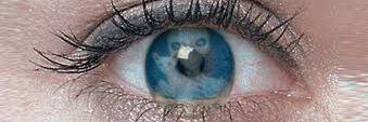 BLV_MaEl's profile banner image