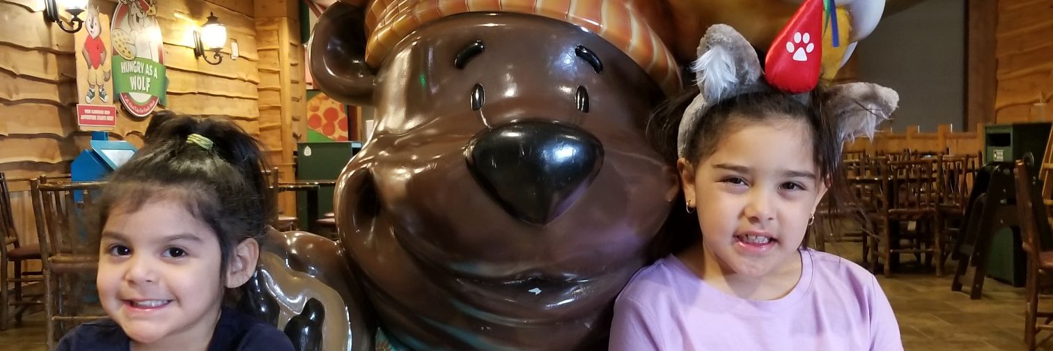 VirginiaHartung's profile banner image