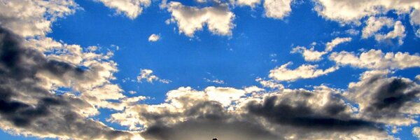 pswmona Profile Banner