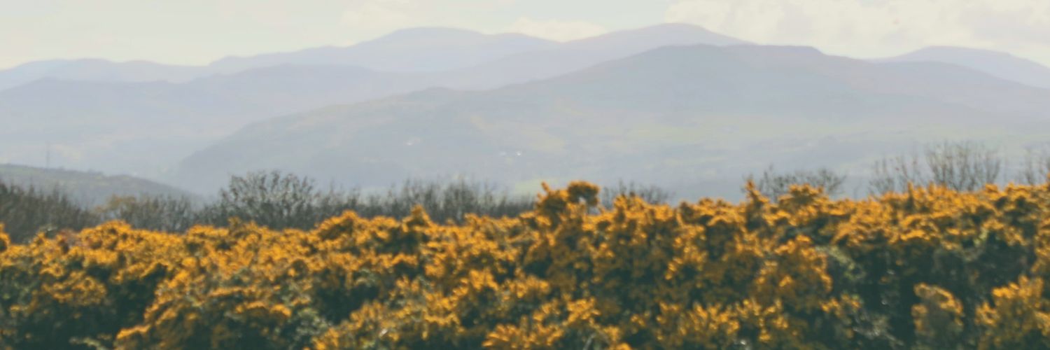 findmenowloser's profile banner image
