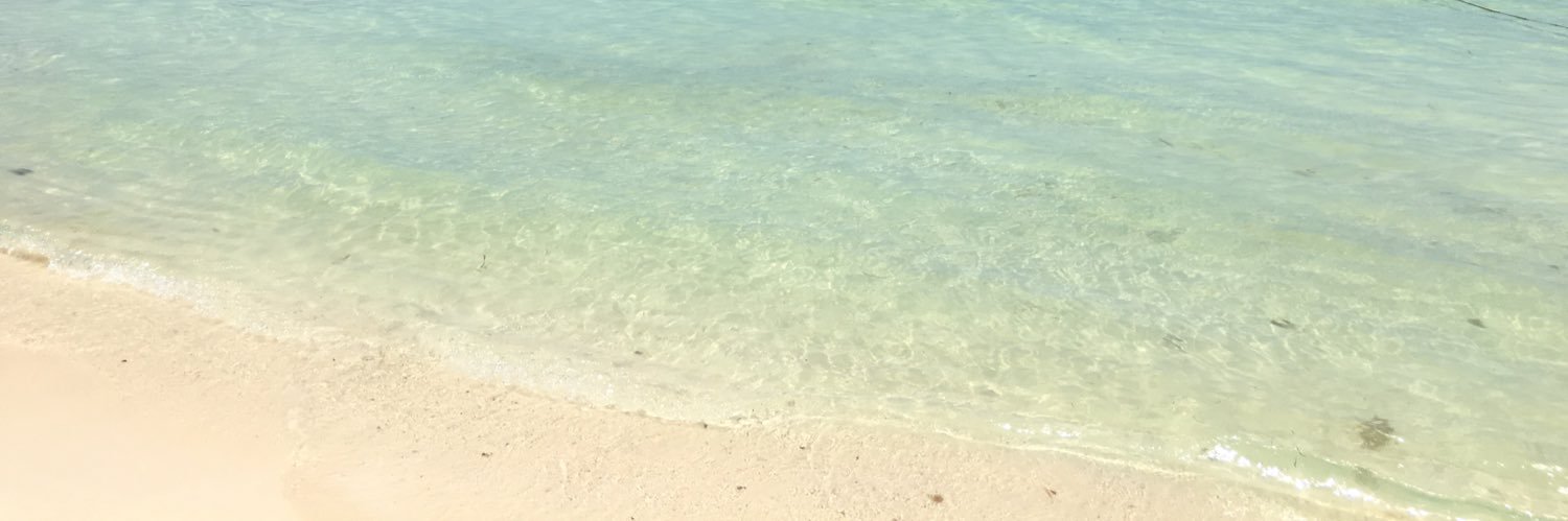 CarCardenasT's profile banner image