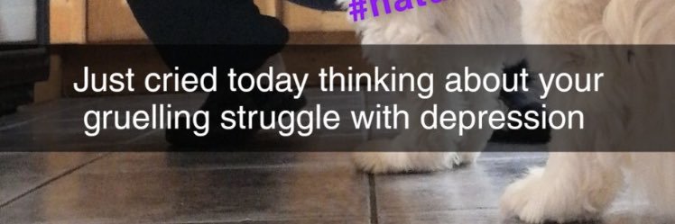 larkitten's profile banner image