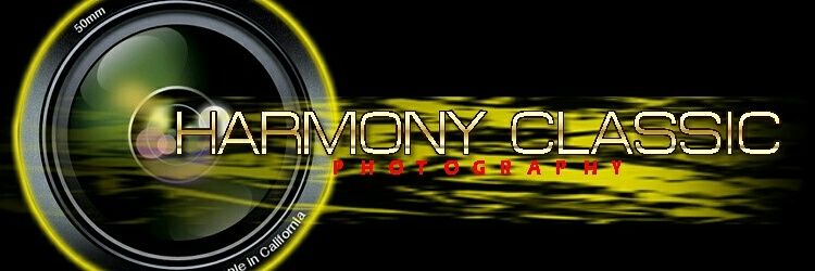 harmoni93's profile banner image