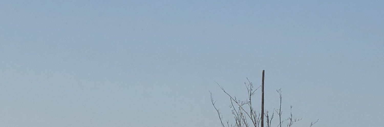 小林銅蟲's banner