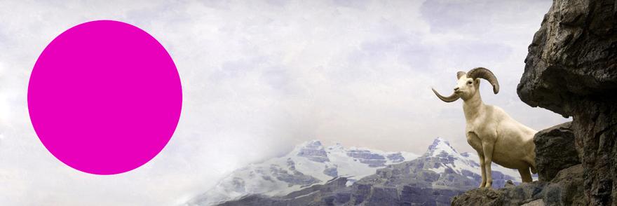 Adam Garnet Jones banner