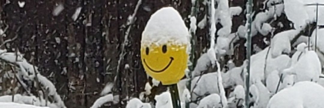 johnfs64's profile banner image