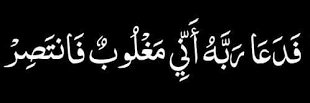 May___Magdy's profile banner image