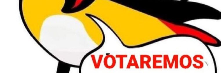 Emma Grandón banner