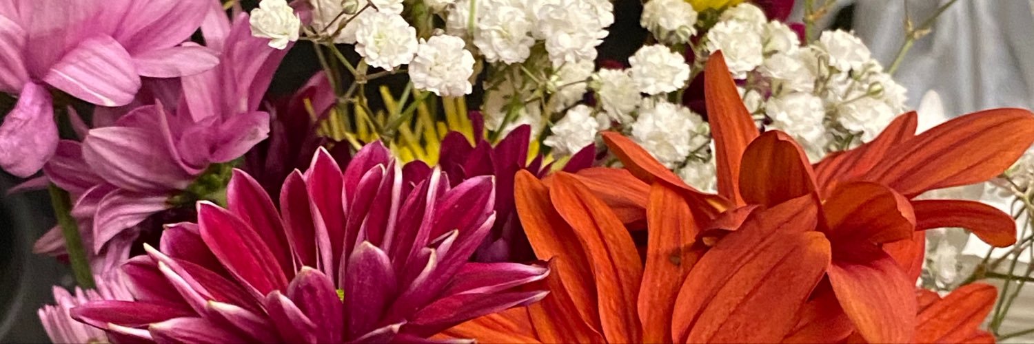 lauramarin___'s profile banner image