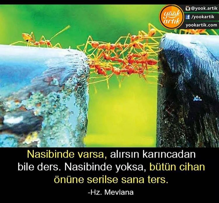 tenisperforman's profile banner image