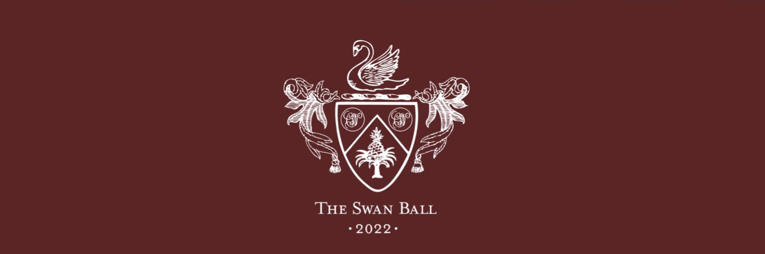 TheSwanBall's profile banner image