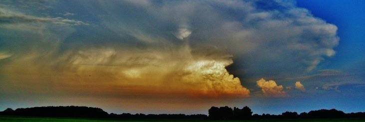 NielsTingen's profile banner image