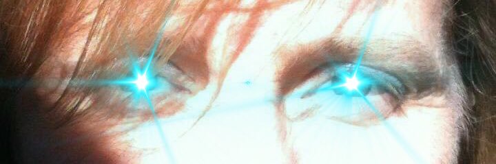 Lee banner