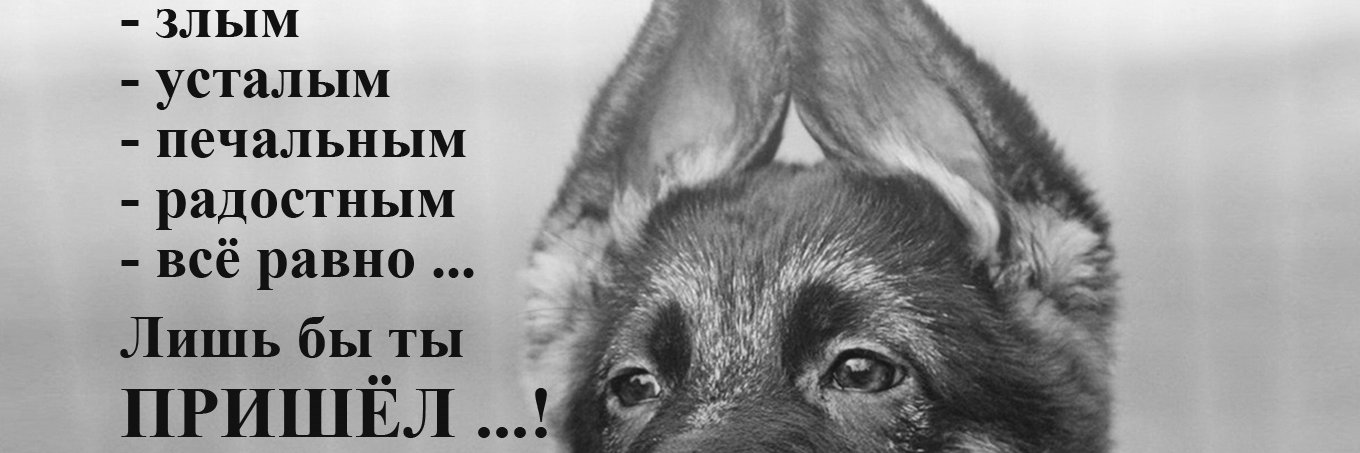 nanubtbr's profile banner image