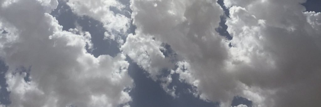 iiel4's profile banner image