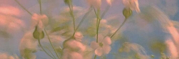 trinadeckerr's profile banner image