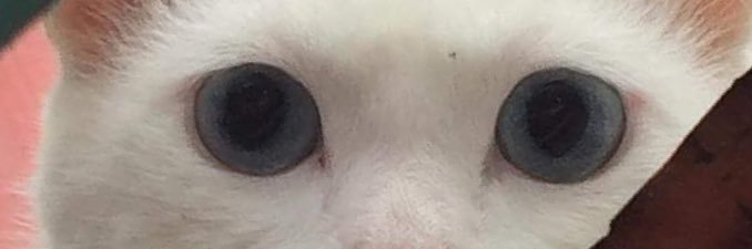 fruityty's profile banner image