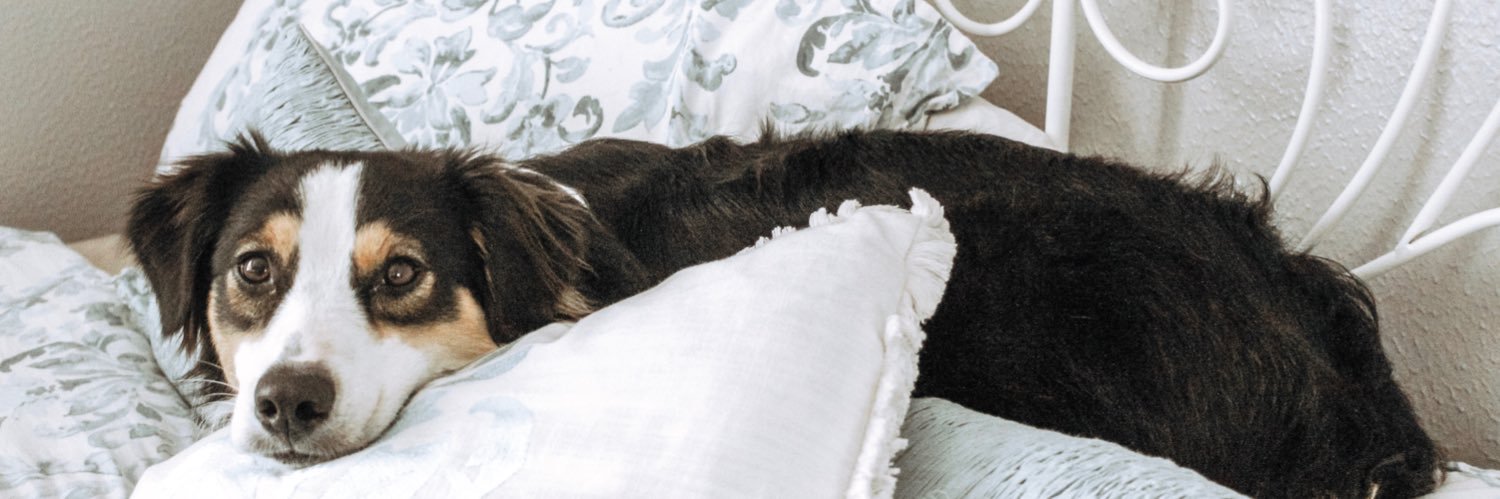 erinyoungg's profile banner image