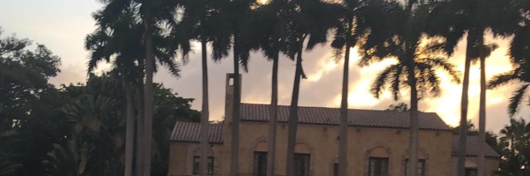 Trizzle44's profile banner image