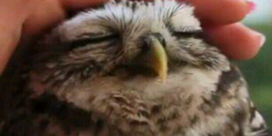 Tanner Nawrocki banner