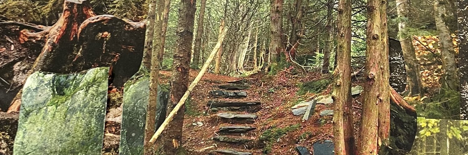 Chanelle-Lize banner