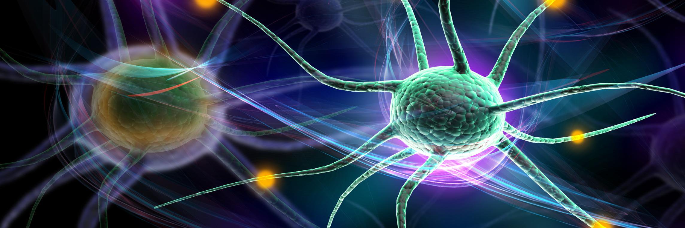 llongBRESLibrary banner