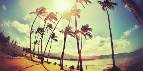 _adrianyn's profile banner image
