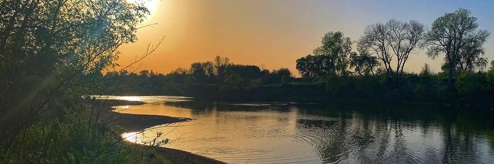 gormantamara's profile banner image