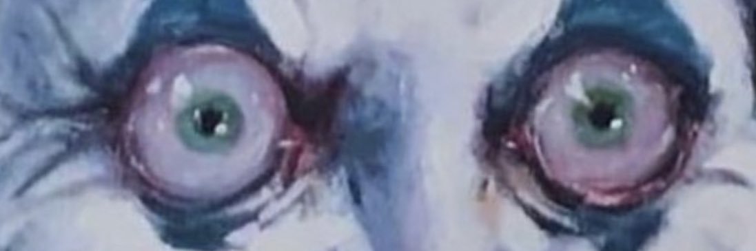 ajerman2_'s profile banner image