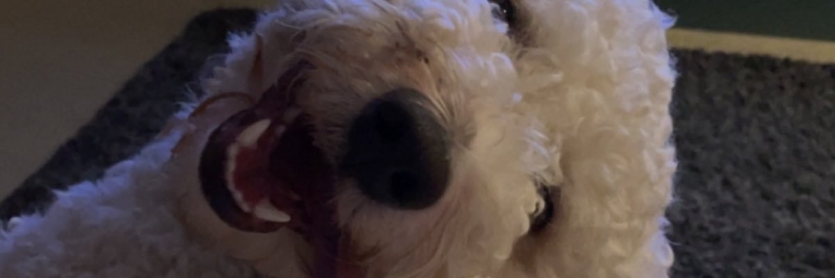 darek_conley's profile banner image