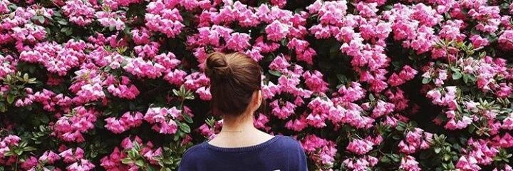 faulkerzon's profile banner image