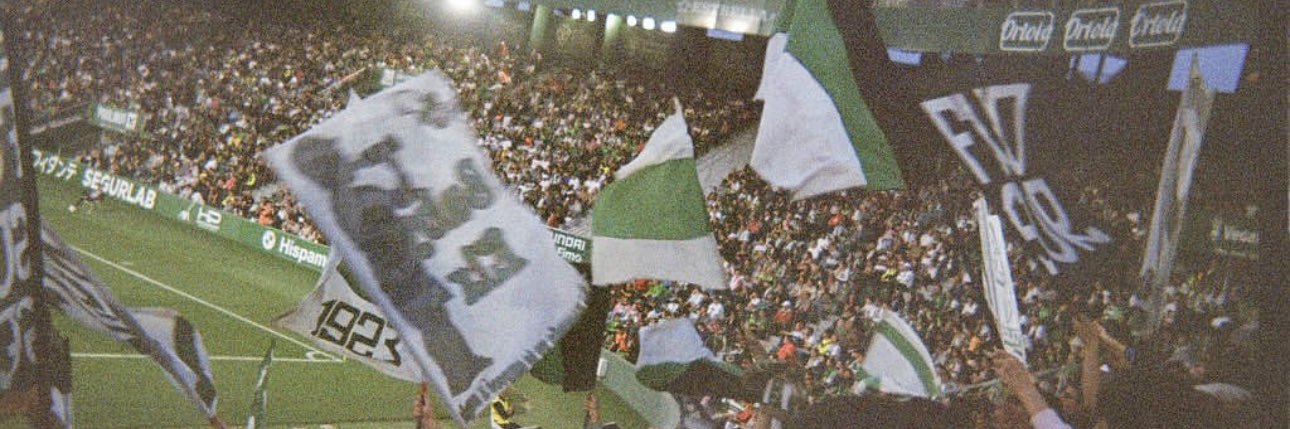 jose 🌴🥚🍍 banner
