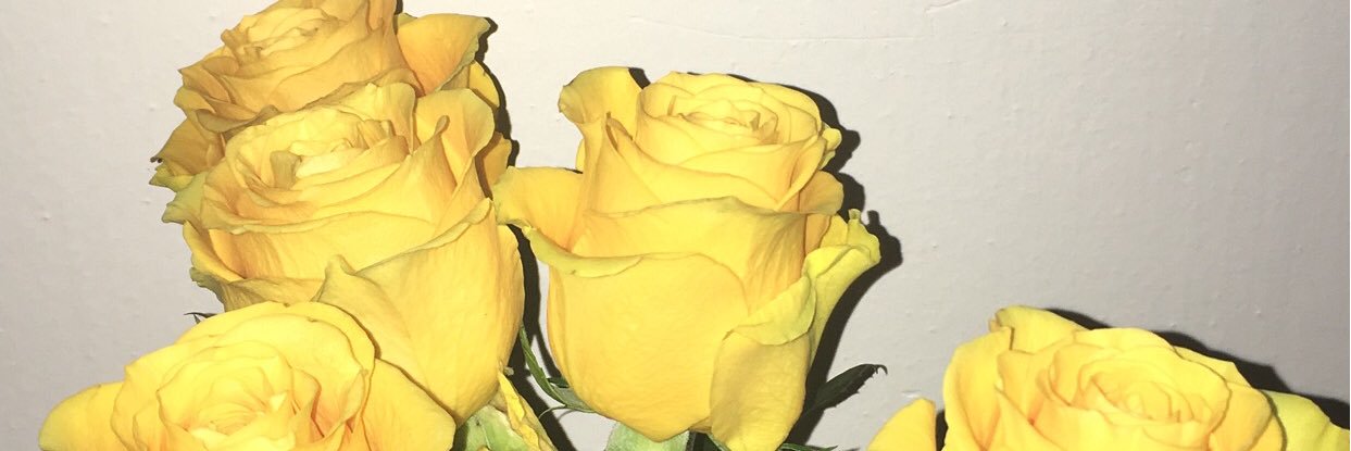 li_ngantu's profile banner image