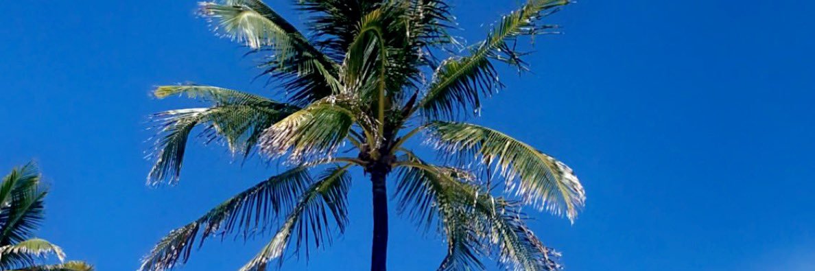 RTaylor___'s profile banner image
