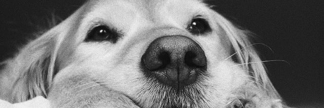 gabiperezbe's profile banner image
