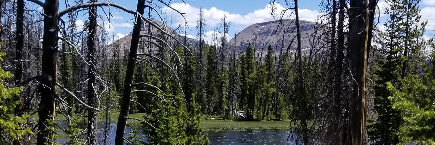 meggplans's profile banner image