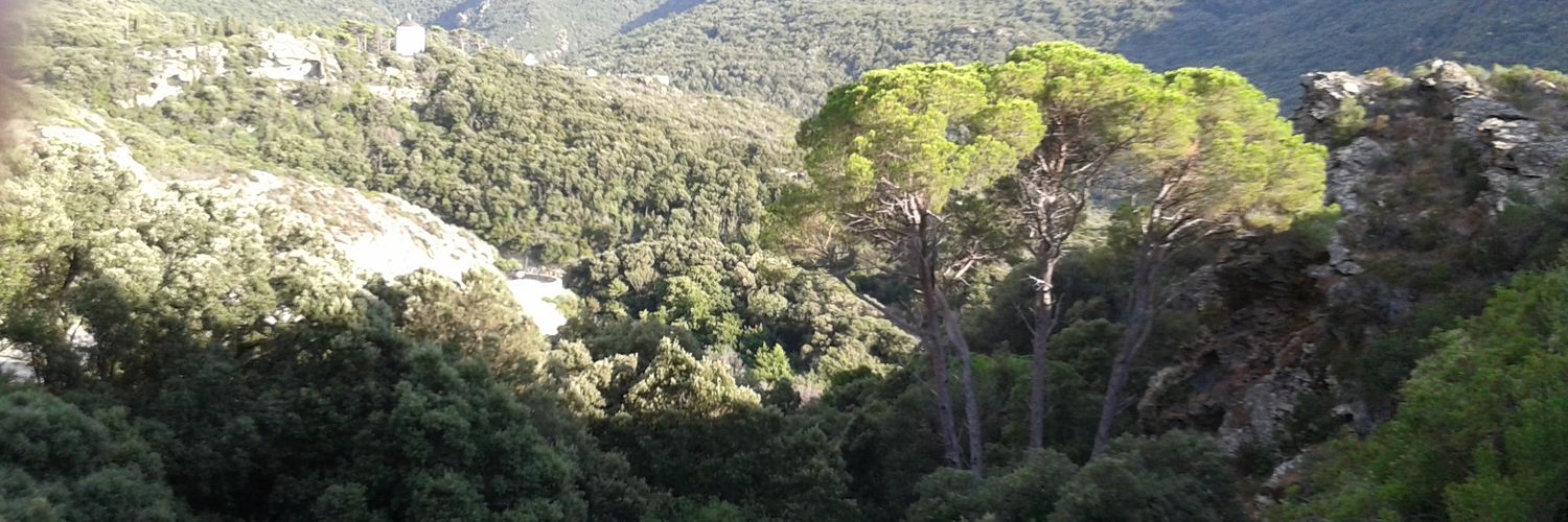 manuelle1969's profile banner image